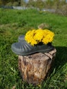 Galoshes rubber rubbers foot boots dandelion