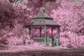 Garden Gazebo with Lush Infrared Colors