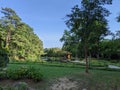 Garden gazebo trees sunny