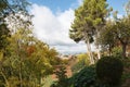 Garden in Generalife Palace in the Alhambra