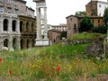 Garden in the Ghetto