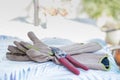 Garden Gloves and Clippers Royalty Free Stock Photo