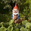 Garden gnome