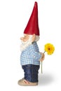 Garden Gnome With Flower Royalty Free Stock Photo