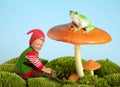 Garden gnome and frog Royalty Free Stock Photo