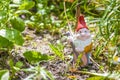 Garden gnome