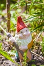 Garden gnome