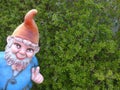 Funny garden gnome