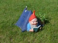 Funny garden gnome on a green meadow