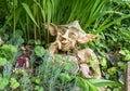 Garden gnome with impish smile thinking - Clay dwarf in garden