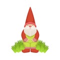 Garden Gnome Standing On Grass