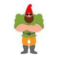 Garden gnome Strong Cool serious. Dwarf strict. Vector illustration