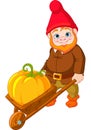 Garden Gnome with wheelbarrow