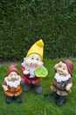 Garden gnomes Royalty Free Stock Photo