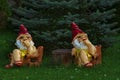 Garden gnomes