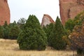 Garden of the Gods Park, Colorado Royalty Free Stock Photo