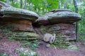 Garden of the Gods Wilderness in Shawnee National Forest, Illinois, USA Royalty Free Stock Photo