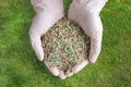 Garden Grass Care Fertilizer Royalty Free Stock Photo