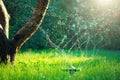 Garden, Grass Watering. Smart garden activated with full automatic sprinkler irrigation system working in a park, watering lawn Royalty Free Stock Photo