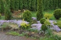 Garden green coniferous ornamental trees colored bushes and flowers