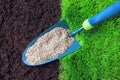 Garden Green Grass And Soil With Garden Trowel Royalty Free Stock Photo