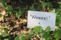 Garden green plant sign. Wheee sort of ivy in botanical garden. Funny positive optimistic inscription photo Royalty Free Stock Photo