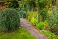 Garden with green plants and small path