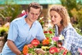 Garden, greenhouse flower and couple with plant shopping and choice with gardening. Floral, spring sale and woman with a Royalty Free Stock Photo