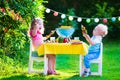 Garden grill party for kids Royalty Free Stock Photo