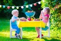 Garden grill party for kids Royalty Free Stock Photo