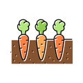 garden with growing carrot color icon vector illustration