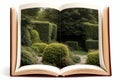 A garden growing from pages of an open book