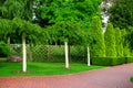 Garden with growing whitewashed trees. Royalty Free Stock Photo