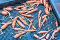 Garden grown carrots freshly plucked from dirt