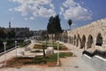 Garden in Hama