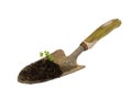 Garden hand trowel Royalty Free Stock Photo