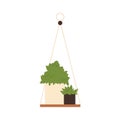 Garden hanging potted plants