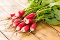 Garden harvest of fresh young red radish bunch with green leaves on wooden table background. Side view Royalty Free Stock Photo