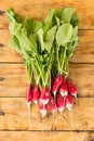 Garden harvest of fresh young red radish bunch with green leaves on wooden table background. Top view Royalty Free Stock Photo