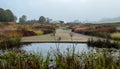 Garden at Hauser & Wirth Gallery named the Oudolf Field, at Durslade Farm, Somerset UK. Designed by landscape artist Piet Oudolf Royalty Free Stock Photo