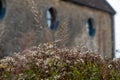 Garden at Hauser & Wirth Gallery named the Oudolf Field, at Durslade Farm, Somerset UK. Designed by landscape artist Piet Oudolf Royalty Free Stock Photo