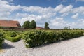 Garden with herbs and vegetables behind the buildings at Gammel Estrup Castle