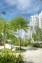 Garden within high-rise residential estate