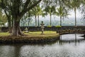 The garden in Hilo, Hawaii Royalty Free Stock Photo