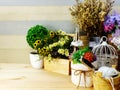 Garden and home decor with accessories for home living and wedding event Royalty Free Stock Photo