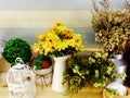 Garden and home decor with accessories for home living and wedding event Royalty Free Stock Photo