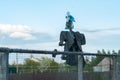 garden homemade scarecrow in the garden Royalty Free Stock Photo