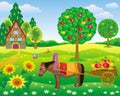 In the garden horse carries a cart with apples