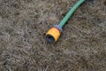 Garden hosepipe lying unused on dead grass Royalty Free Stock Photo