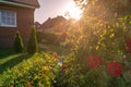 Garden and house, bush of roses in a backlight scene during sunset